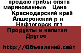 продаю грибы опята маринованные › Цена ­ 450 - Краснодарский край, Апшеронский р-н, Нефтегорск пгт Продукты и напитки » Другое   